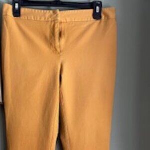 Mustard Skinny Pants/ Size 6